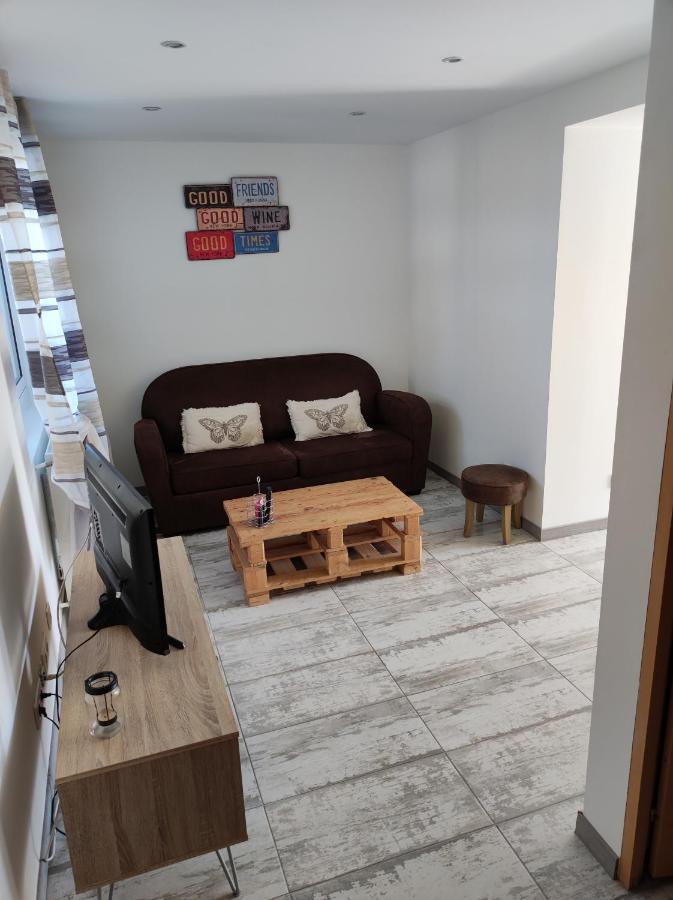 Appartement Abadie Bagnères-de-Bigorre Dış mekan fotoğraf