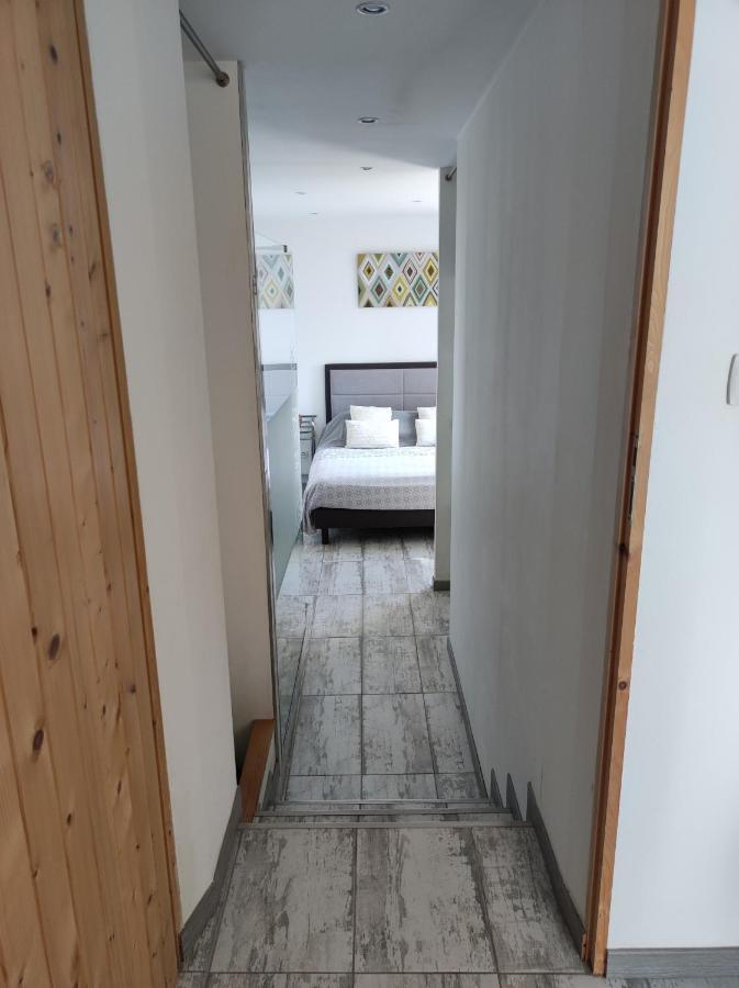 Appartement Abadie Bagnères-de-Bigorre Dış mekan fotoğraf