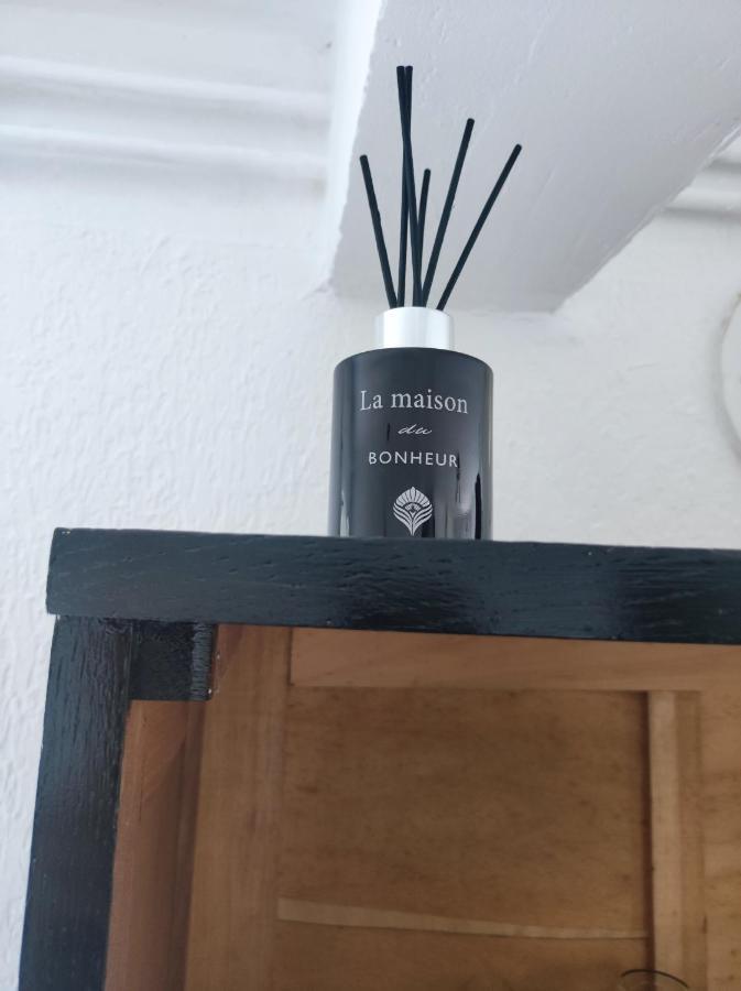 Appartement Abadie Bagnères-de-Bigorre Dış mekan fotoğraf