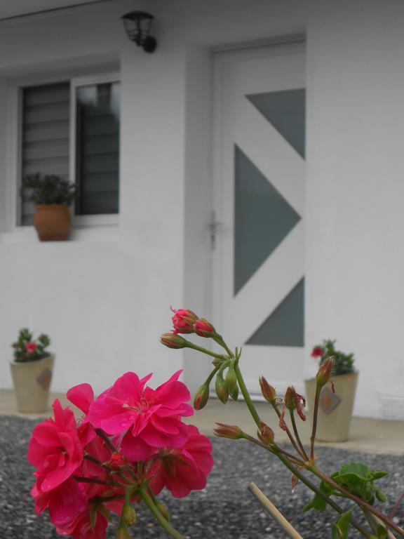 Appartement Abadie Bagnères-de-Bigorre Dış mekan fotoğraf